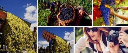 Tatil mi Arıyorsun ? Tatilbulurum.com