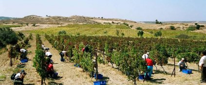 Tatil mi Arıyorsun ? Tatilbulurum.com