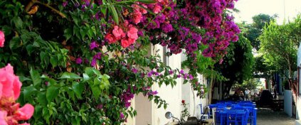 Tatil mi Arıyorsun ? Tatilbulurum.com