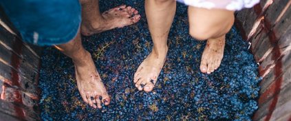 Tatil mi Arıyorsun ? Tatilbulurum.com