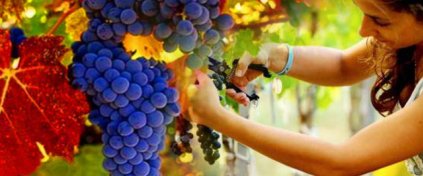 Tatil mi Arıyorsun ? Tatilbulurum.com