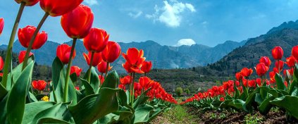 Tatil mi Arıyorsun ? Tatilbulurum.com