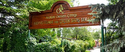 Tatil mi Arıyorsun ? Tatilbulurum.com