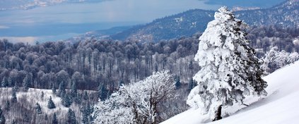 Tatil mi Arıyorsun ? Tatilbulurum.com
