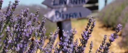 Tatil mi Arıyorsun ? Tatilbulurum.com